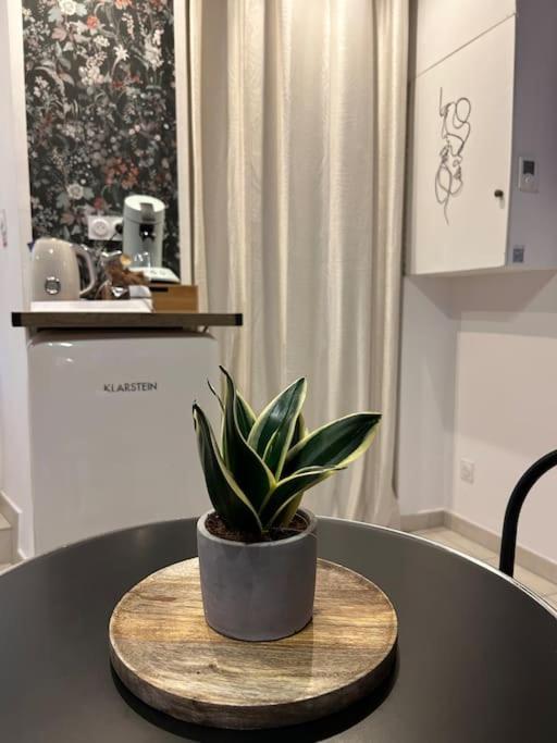 L'Etreinte, Gite De Charme Avec Jacuzzi Interieur Et Sauna Guéméné-sur-Scorff 외부 사진